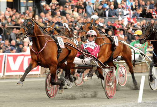 Raja Michi - I Oslo Grand Prix bliver det med Jorma Kontio i sulkyen