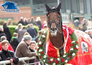 Caballion er klar til Elitloppet efter sรธndagens sejr i Broline Copenhagen Cup