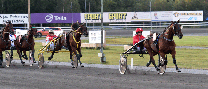 Så suverænt vandt Knud Mønster EM-konkurrencens første løb med Mellby Toker. Foto Gerard Forni