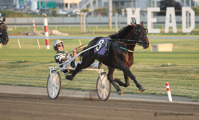 Father Patrick - Hambletonian.favoriiten. Lisa Photo