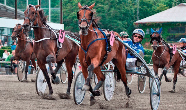 Pingus Vang. Arkiv US Photo