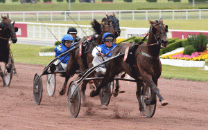 Ravenna med Franck Nivard vandt sikkert sin seneste start i Paris. Foto Gerard Forni