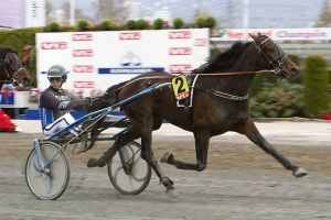 Sejr Gammelsbæk foto: Hesteguiden.com