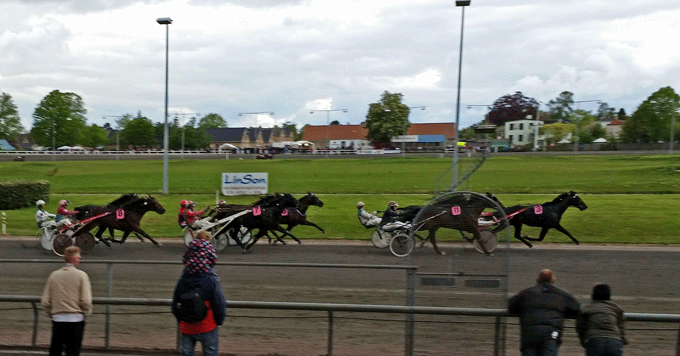 100 m fra mål. Stelton ligger i ryg på førende Nothing but Class. KB Foto