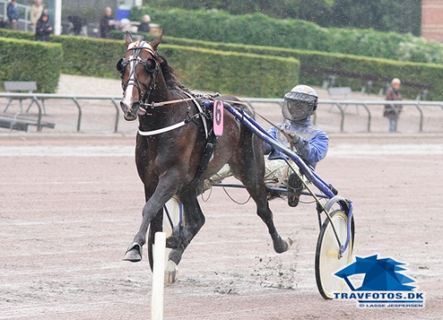 Tumble Dust - er det Derbyvinderen??