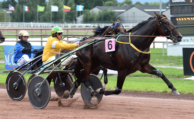 Uhlan du Val på vej forbi Timoko og lidt senere går den i banen og "klipper" tæerne på Elitloppsvinderen Timoko. Foto Gerard Forni