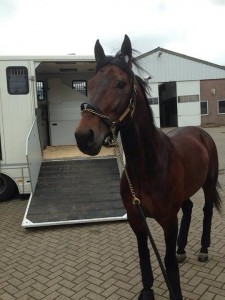 Uncle Peter klar til afgang mod Skåne