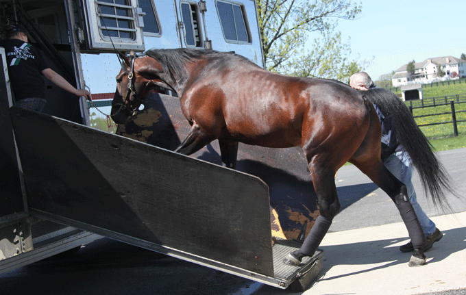 Uncle Peter påbegyndte mandag aften, lokal tid rejsen til Copenhagen Cup. Foto Ole Bach,