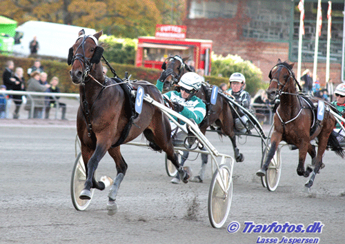 WhiteRussian 20131027 opl