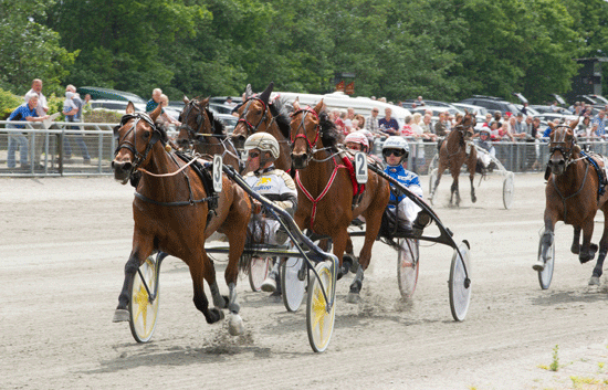 Action Replay med Birger Jørgensen vandt senest i Billund i dagens hurtigste notering 1.12.1. KM Foto
