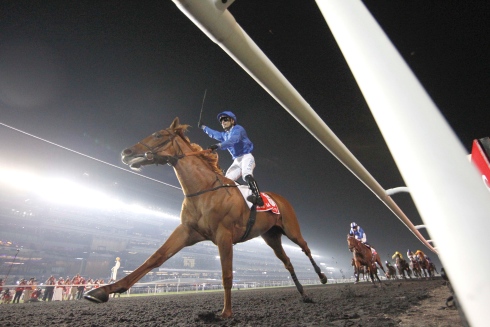 African Story vinder sikkert Dubai World Cup. Foto Stefano Grasso for Kanal 75.