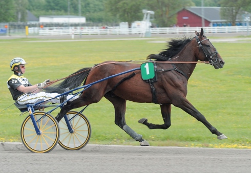 Lækre Al Dente. Kanal 75