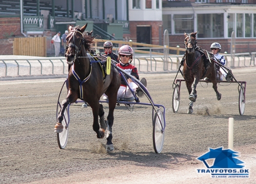 Alex Trøjborg var en meget tiltakende 2-åring fra Tomas Malmqvist-stalden.
