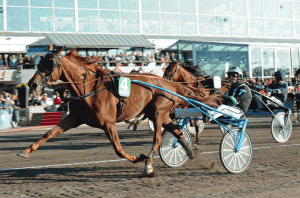 Backfire med Johnny Takter vinder sikkert Drottningen-Pokalen. Kanal 75