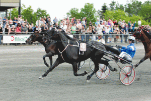 Bearhwaii med Erik Adielsson vinder Sprintermesteren foran den fremstormende Therumoursaidfire med Birger Jรธrgensen KM Foto