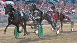 Corky - solgt til Sverige. Foto Kanal 75.