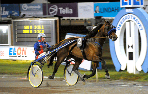 elton-attack-svampen-131215-346583