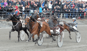 Hard Livin med Daniel Reden vinder Gulddivisonen på Umåker i banerekord 1.11.4. Foto Kanal 75
