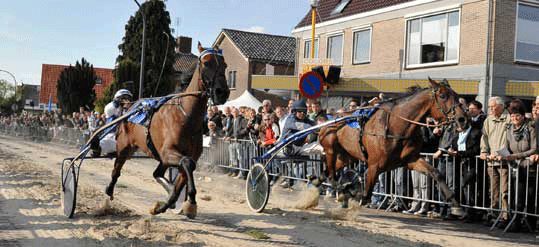 Koorteban-løb i Holland