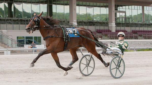 Lifetime Pursuit sรฆtter verdensrekord pรฅ The Meadows med 1.09.2