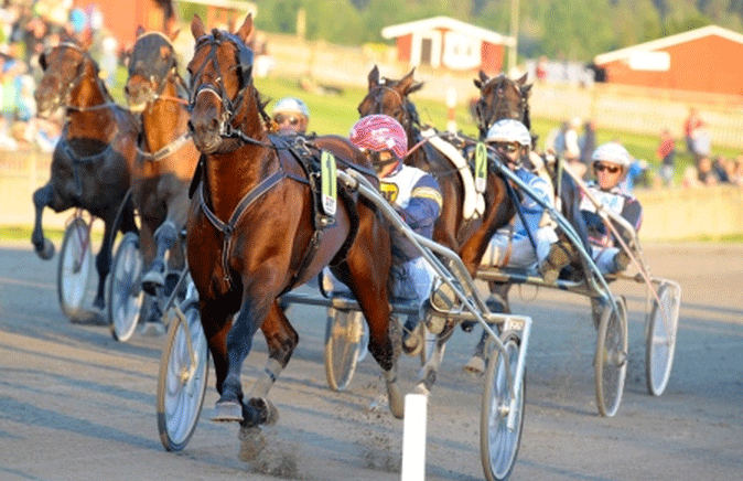 Mr Picolit med Torbjørn Jansson vinder sikkert i banerekord 1.10.9. Foto Kanal 75.