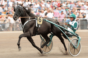 Er dette vinderen af Elitloppet 2014? Panne de Moteur med Ôrjan Kihlström. Kanal 75.