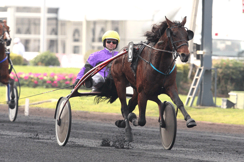 Partout Simoni. Arkivfto Gerard Forni