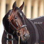 readycash-kalender