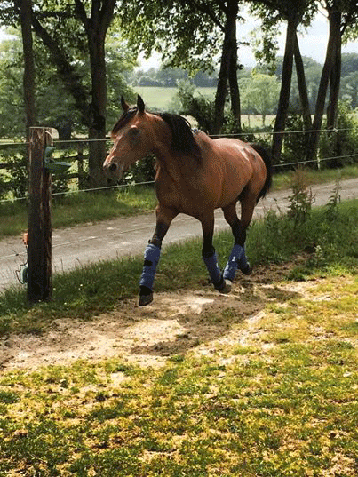 Repay Merci i folden hos Fabrice Souloy. Foto Michelle Mรธnster.