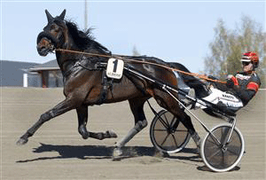 Reven d'Amour - var overlegen i Finland, Arkiv kanal 75