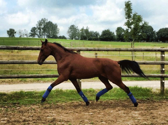 Rocky PH lader op i folden hos Souloy. Foto Michelle Mønster