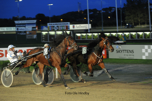 Birger Jørgensen har tidliere kørt og vundet med Rocky P H. Her på NKI Racing Arena i 2012. Foto Ole Hindby,