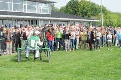 Salina har 246 ejere - arkivfoto