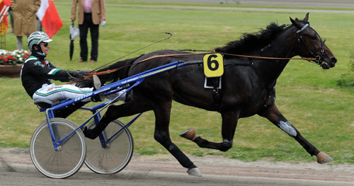 Marquis Ås med Kasper K Andersen kan vinde Sprintermesteren i Billund.