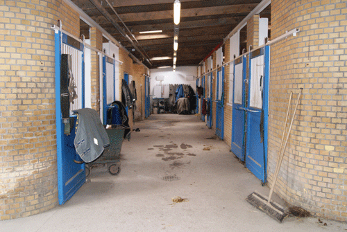 stald-rene-jonasssen