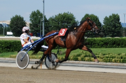 Italienske Telecomando OK er med 1.15.1 den hurtigste deltager i Breeders Course-løbene 