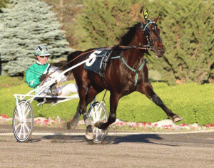 Trixton med Jimmy Takter.
